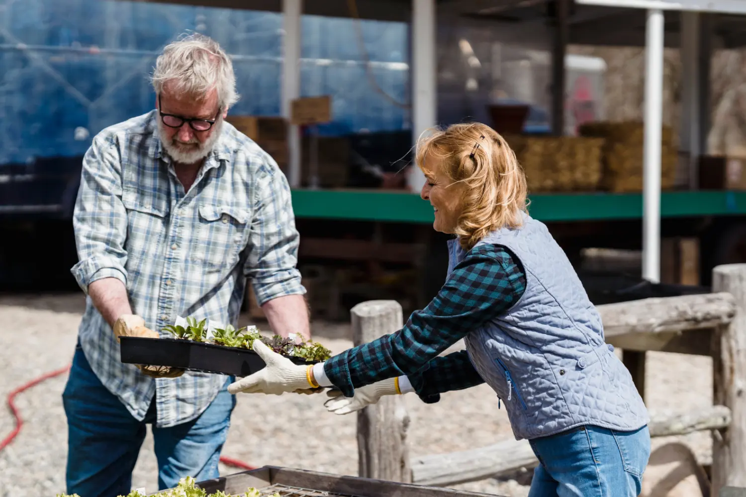 Man receiving tray of small plants from woman