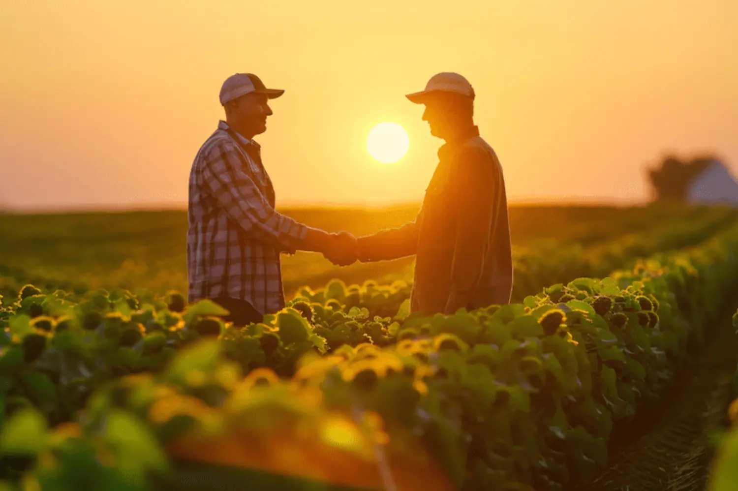 QPR for Farmers and Farm Families - Master