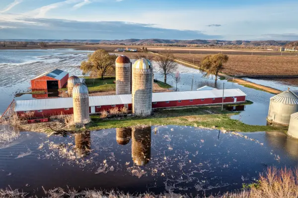 Farm and Ranch Health Threats After a Flood primary image