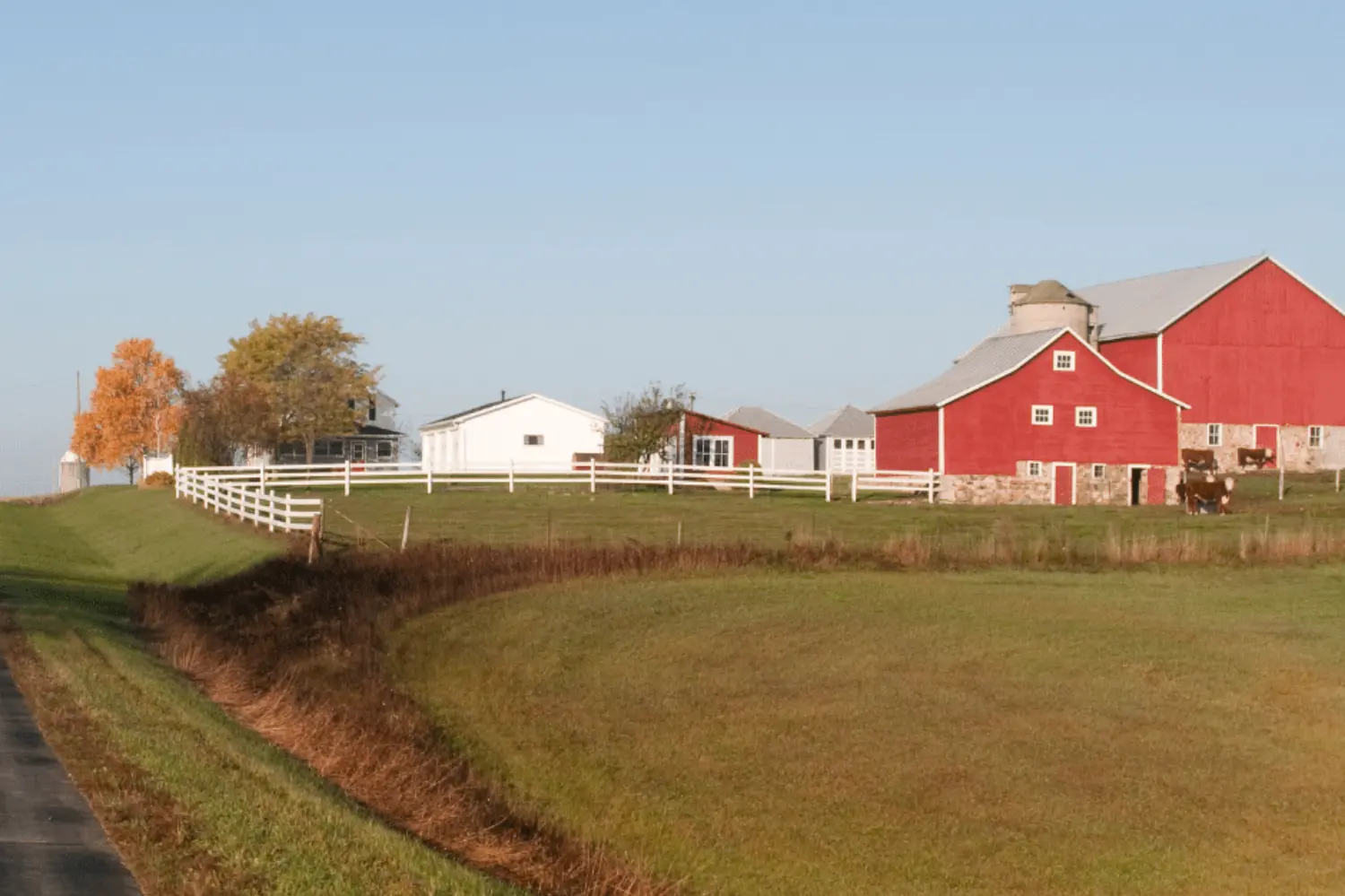 Farm site on a hill with red outbuildings