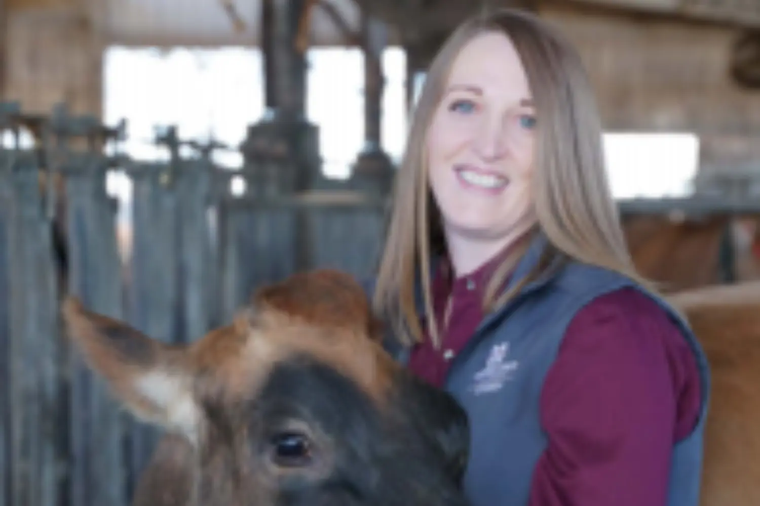 Stress and Dairy Farming: Challenging Times in the Dairy Industry Pave the Way for Mental Health Struggles - Master