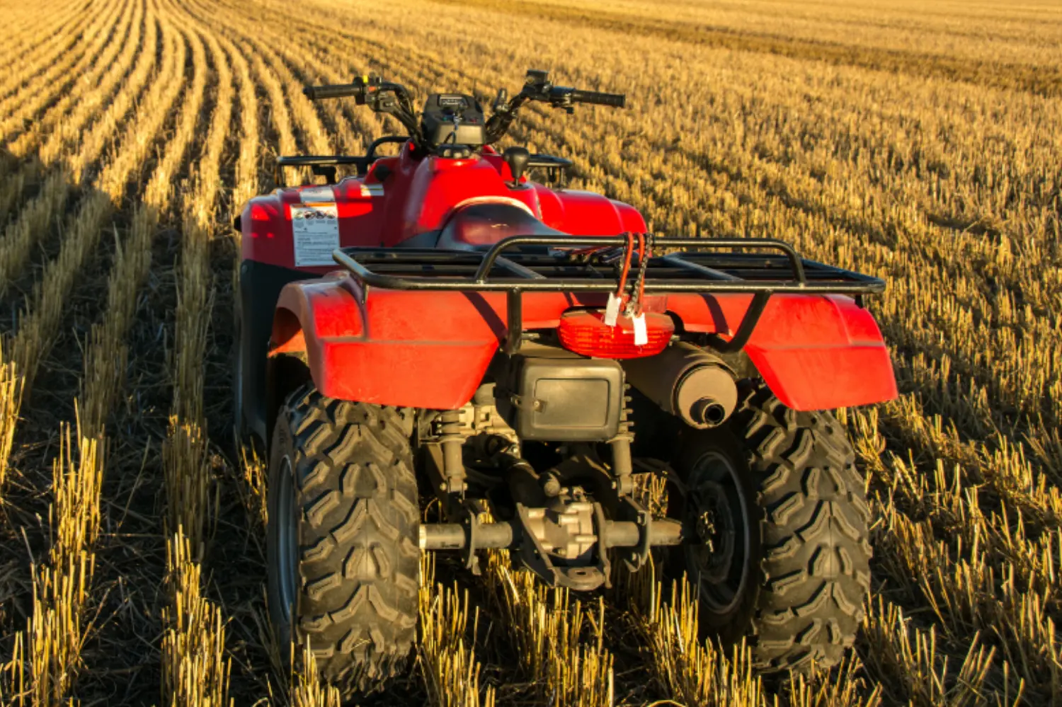 ATV/UTV Safety for Women primary image