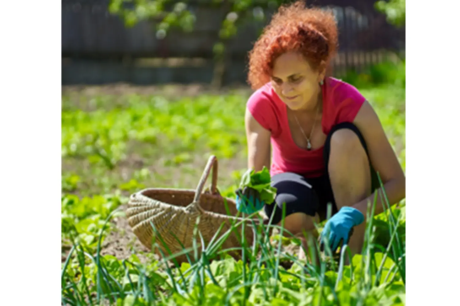 More Than Milk - Strong Bones and Injury Prevention for Aging Women in Ag primary image