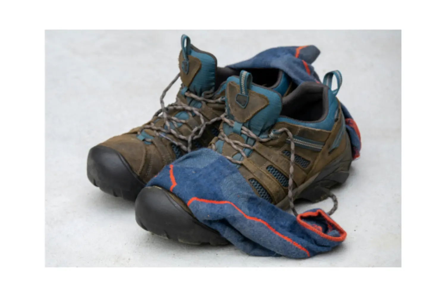 Importance of Foot Health In Agriculture primary image