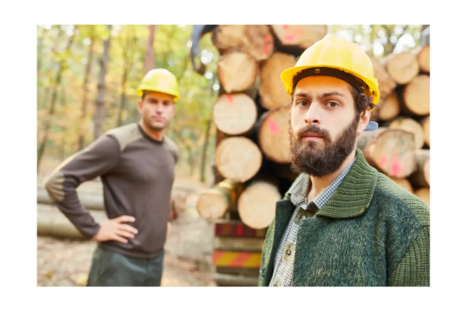 A Review of the Literature for Forestry Health and Safety - The Last Ten Years primary image