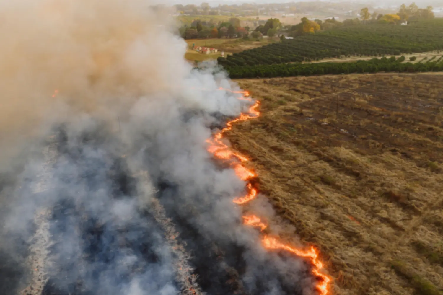 Heat and Wildfire Smoke Exposure Among Agricultural Workers - Examining Exposure Risk and Potential Strategies to Protect Workers primary image
