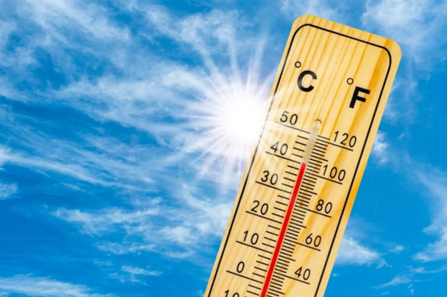 Women and Heat Stress primary image
