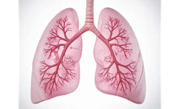 Non-Allergic Respiratory Hazards in Farming and Agricultural Environments: Recognition and prevention primary image