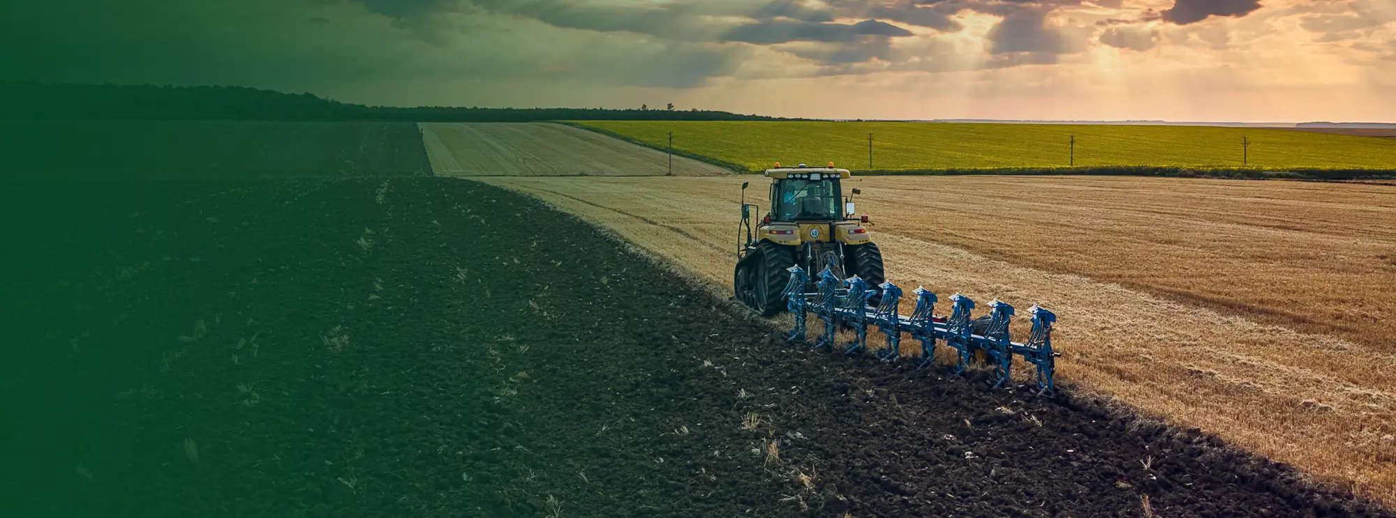 LearnUpon Banner 02 2026 (2)