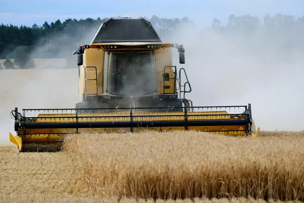 A large combine harvester moves through a golden crop field, harvesting grain while dust rises behind it. The image represents agricultural production, farming operations, and the daily work of farmers managing crops and equipment.