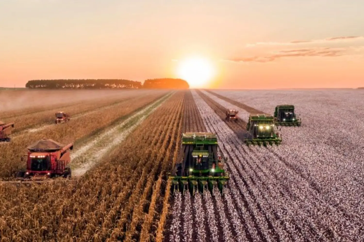 The Impact of Climate-Related Hazards on Mental Health primary image