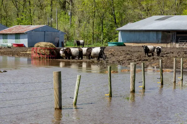 More than FEMA: Building True Rural Disaster Resilience primary image