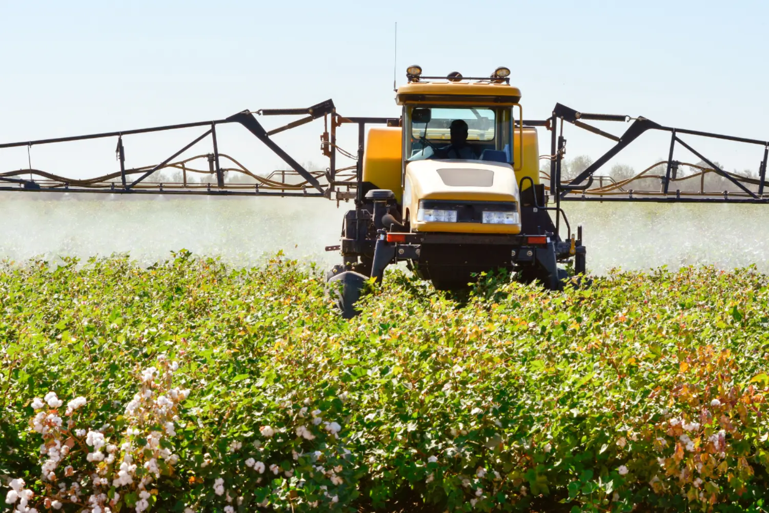 Environmental Health Literacy and Agricultural Exposures: Where Ag Safety and Cancer Prevention Meet primary image