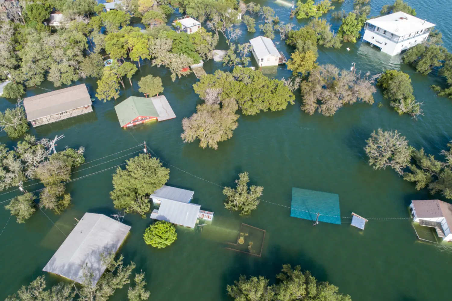 NFSHW25: AgriSafe Natural Disaster Recovery Response Think Tank primary image