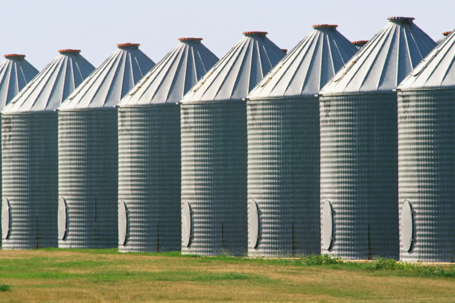 NFSHW24: Grain Related Entrapment: Are We Focusing on the Right Problem? primary image